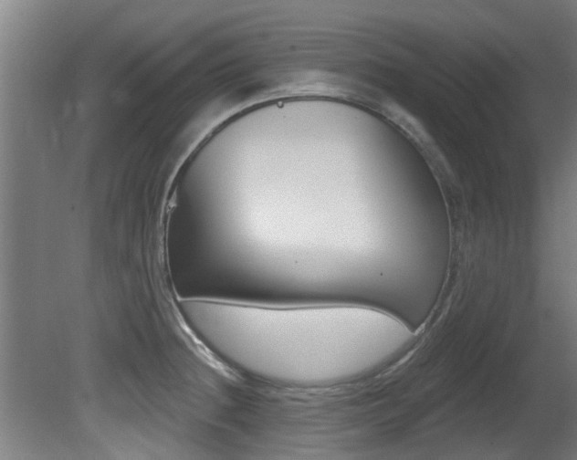 X0000081401236200701111224