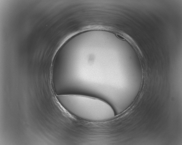 X0000081401244200701111224