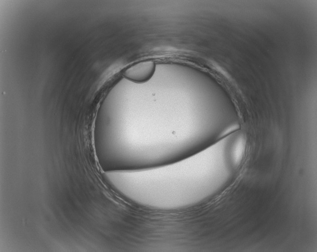 X0000081401259200701111224