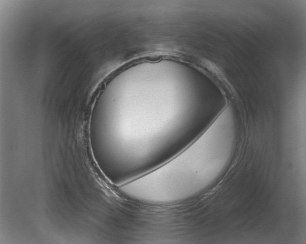 X0000081401260200701111224