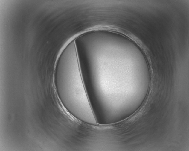 X0000081401296200701111223