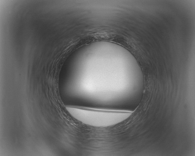 X0000081401297200701111222