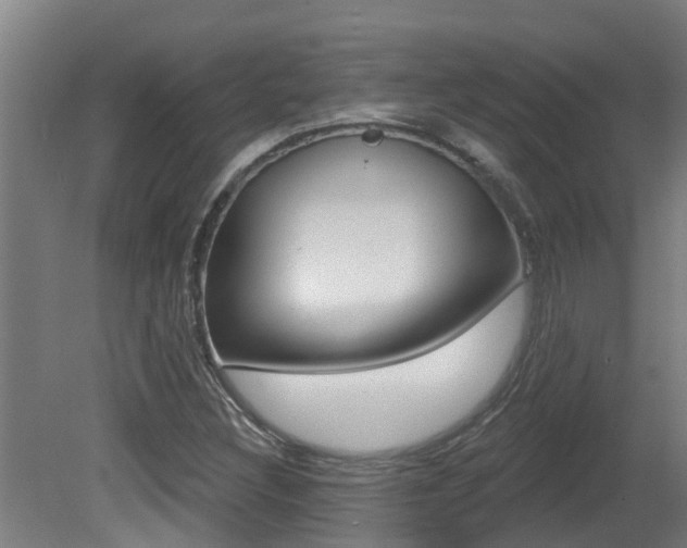 X0000081401308200701111222