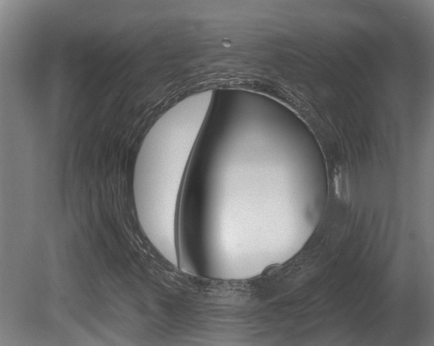 X0000081401347200701111222