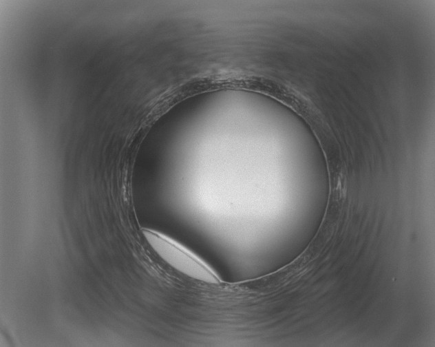 X0000081401348200701111222