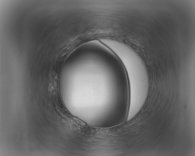 X0000081401349200701111222