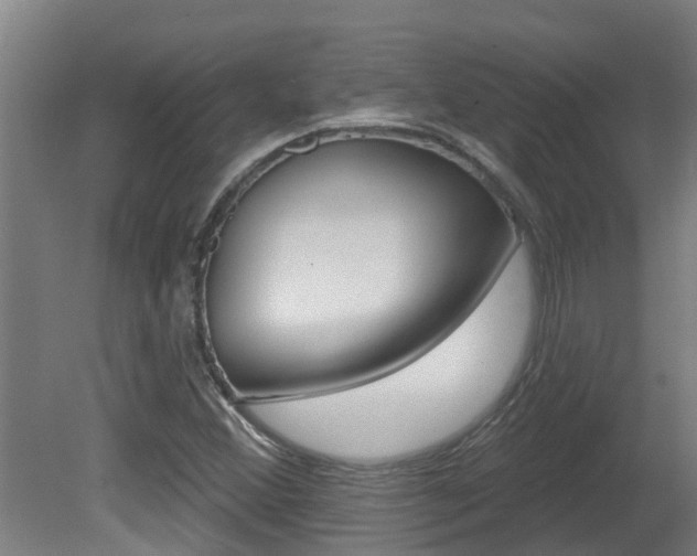 X0000081401356200701111222