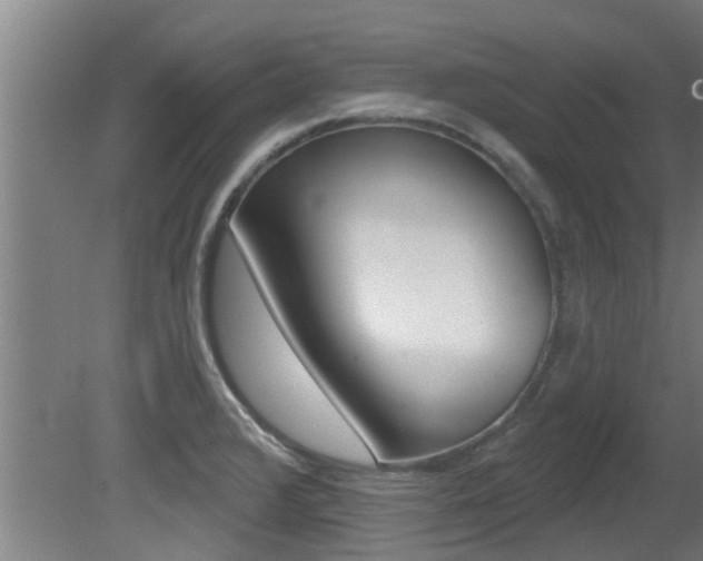 X0000081401376200701111222