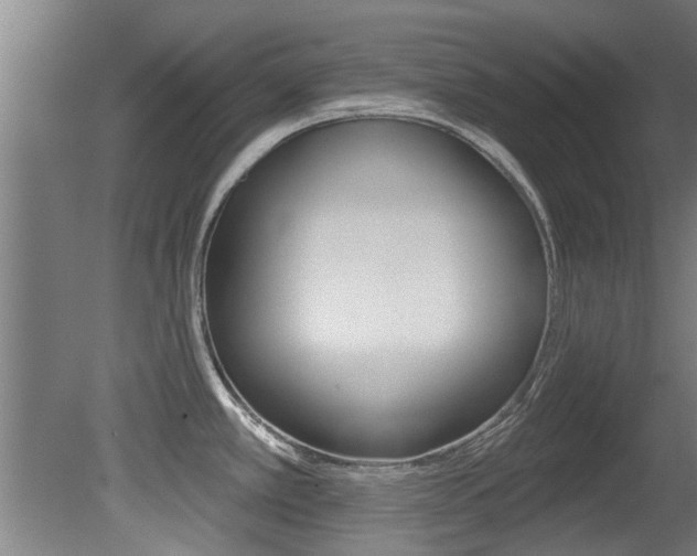 X0000081401389200701111221