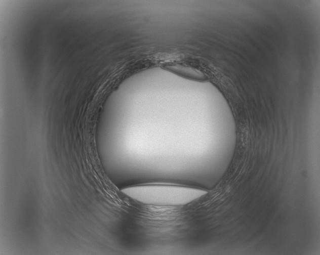 X0000081401393200701111220