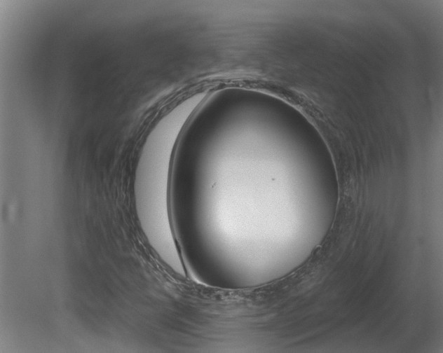 X0000081401398200701111221