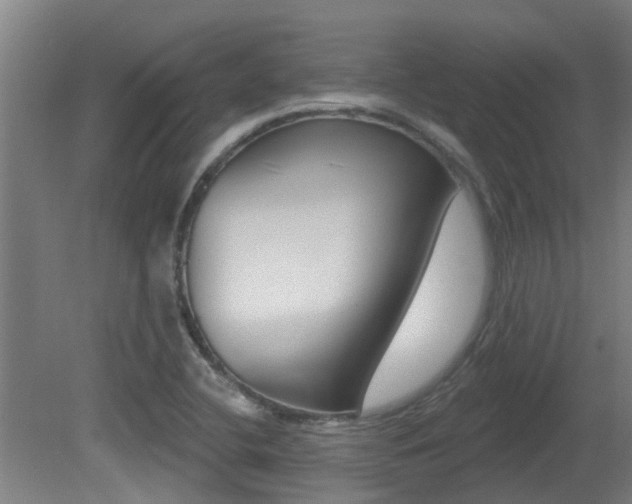 X0000081401412200701111221