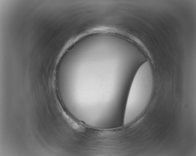 X0000081401421200701111221