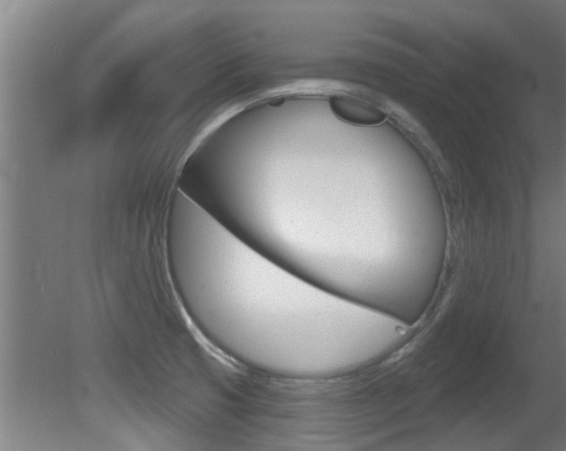 X0000081401425200701111221