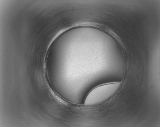 X0000081401428200701111221