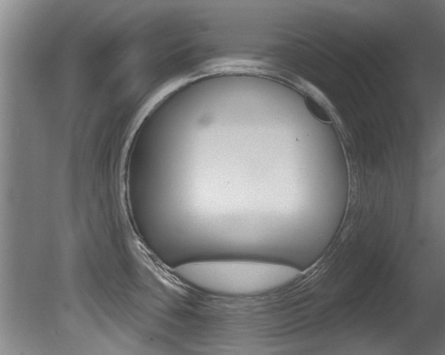 X0000081401435200701111221