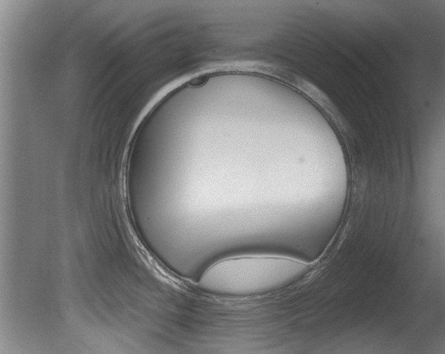 X0000081401436200701111221