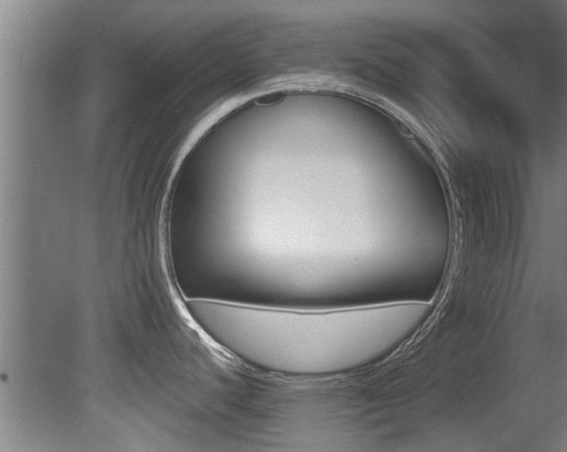 X0000081401440200701111221