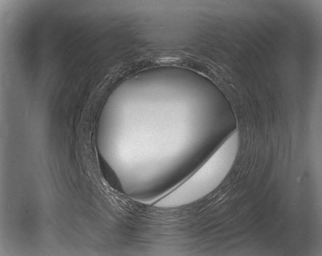 X0000081401441200701111220
