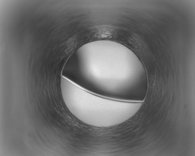 X0000081401442200701111220