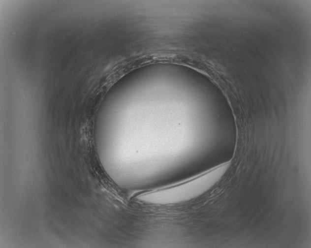X0000081401445200701111220