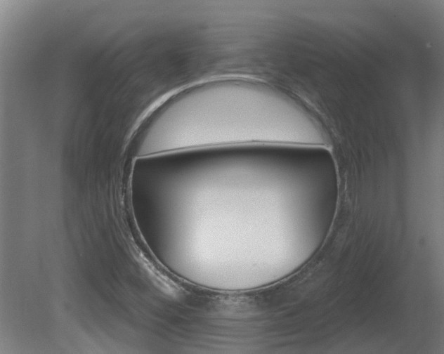 X0000081401452200701111220