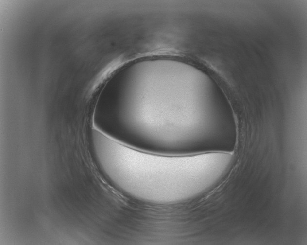 X0000081401455200701111220
