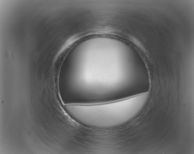 X0000081401456200701111220