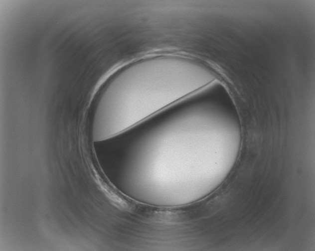 X0000081401458200701111220