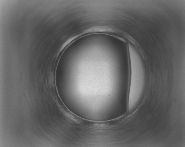 X0000081401465200701111220