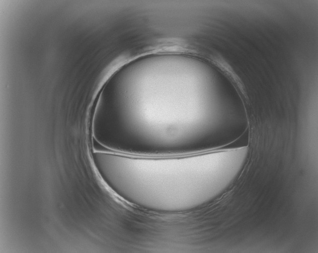 X0000081401483200701111220