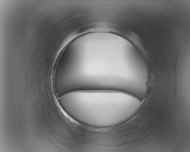 X0000081401484200701111220