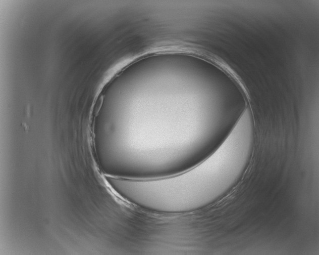 X0000081401485200701111220