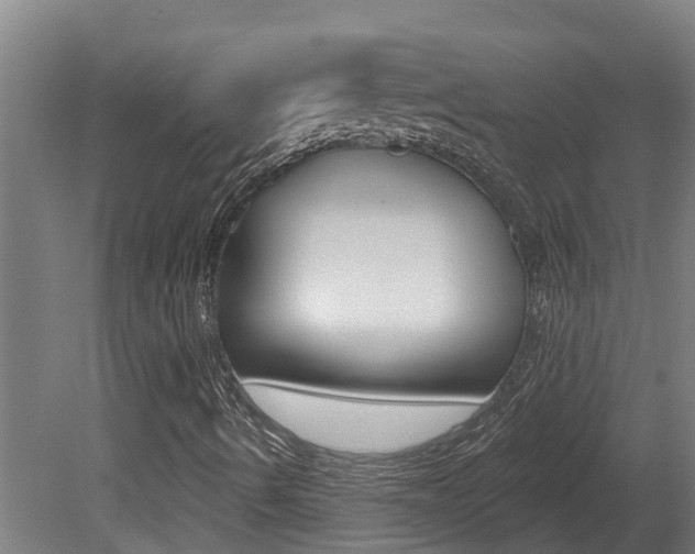 X0000081401490200701111219