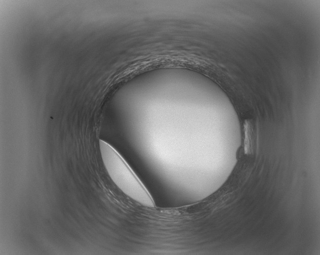 X0000081401491200701111219