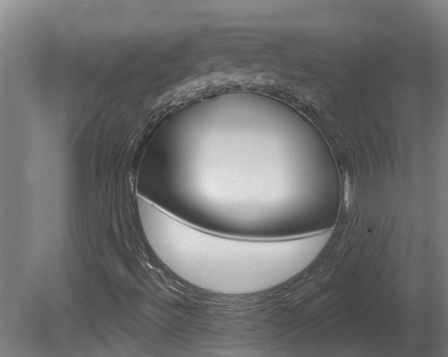 X0000081401492200701111219