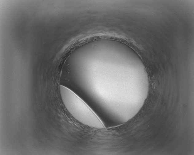 X0000081401495200701111219