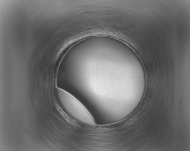 X0000081401499200701111219