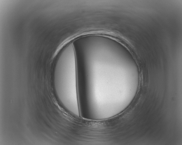 X0000081401501200701111219