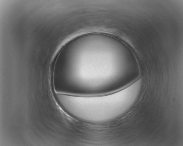X0000081401508200701111219