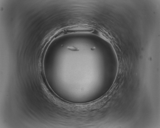 X0000081400002200701111555