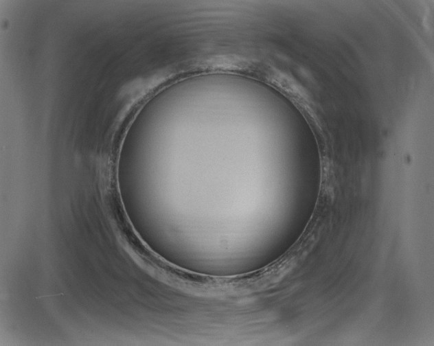 X0000081400012200701111554