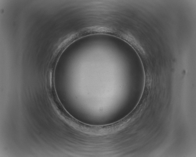 X0000081400014200701111554
