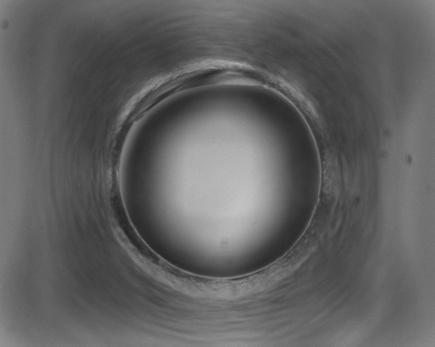 X0000081400015200701111554