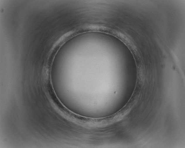 X0000081400016200701111554