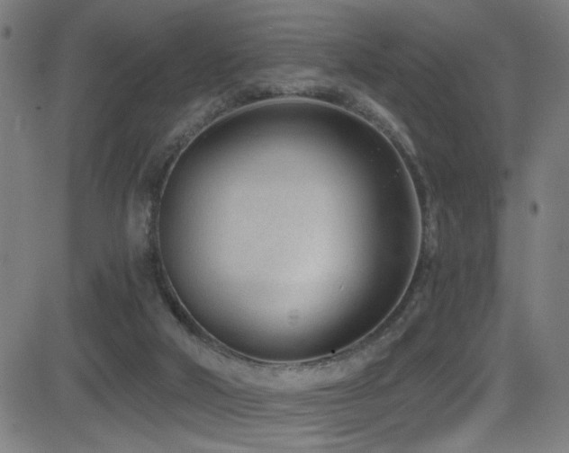 X0000081400018200701111554