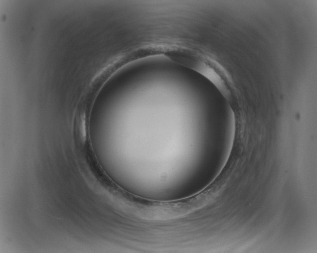 X0000081400020200701111554