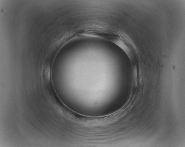 X0000081400021200701111554