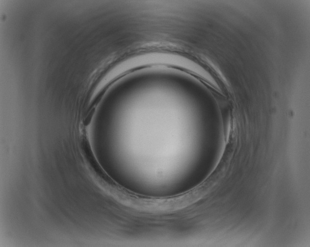 X0000081400023200701111554