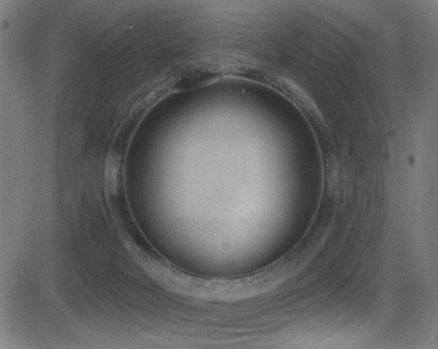 X0000081400026200701111554